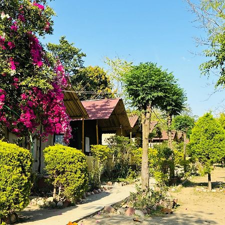 ホテル Camp High 5 Jayalgarh Dāngchura エクステリア 写真