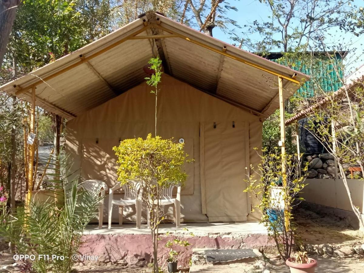 ホテル Camp High 5 Jayalgarh Dāngchura エクステリア 写真