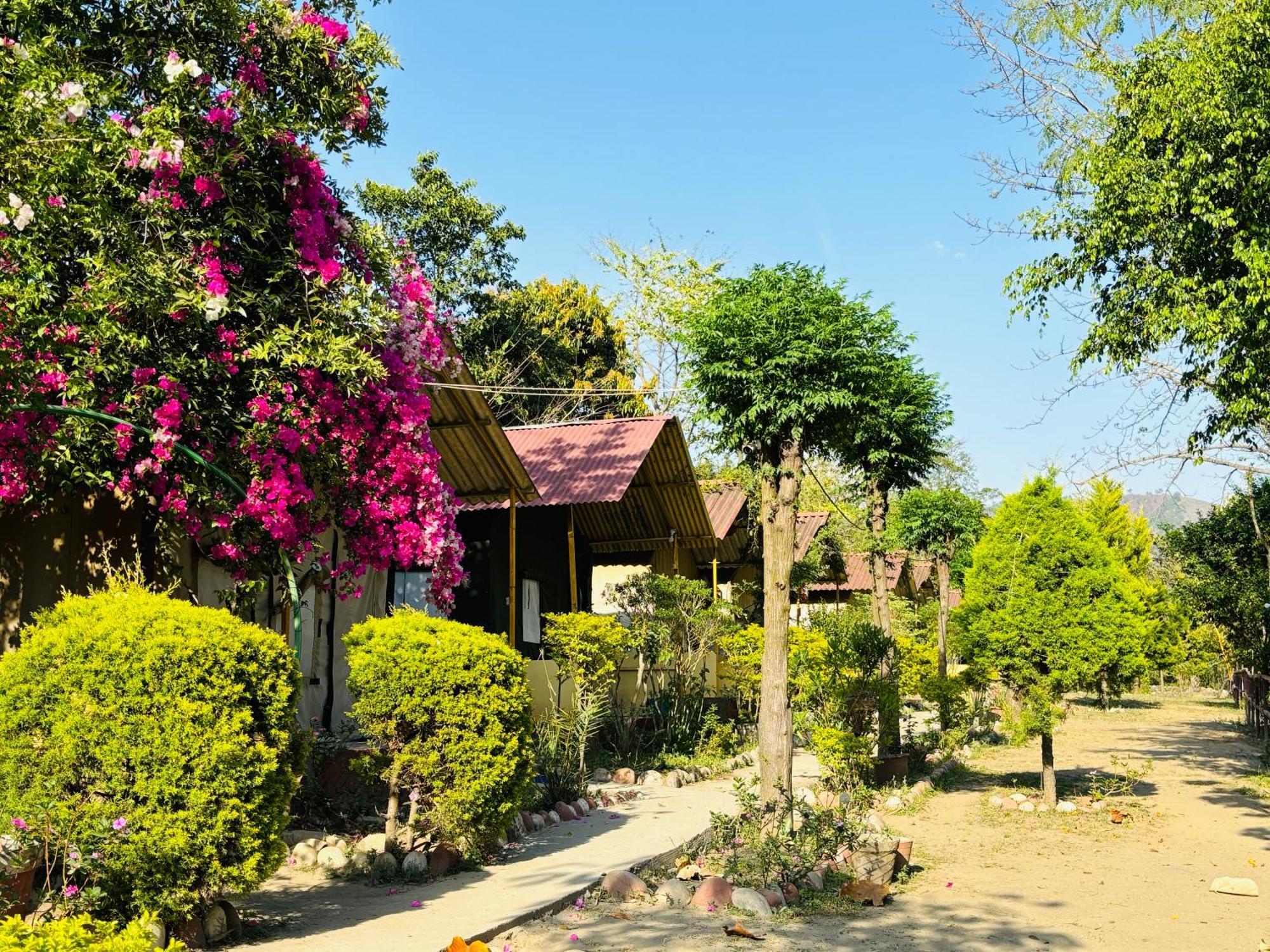 ホテル Camp High 5 Jayalgarh Dāngchura エクステリア 写真