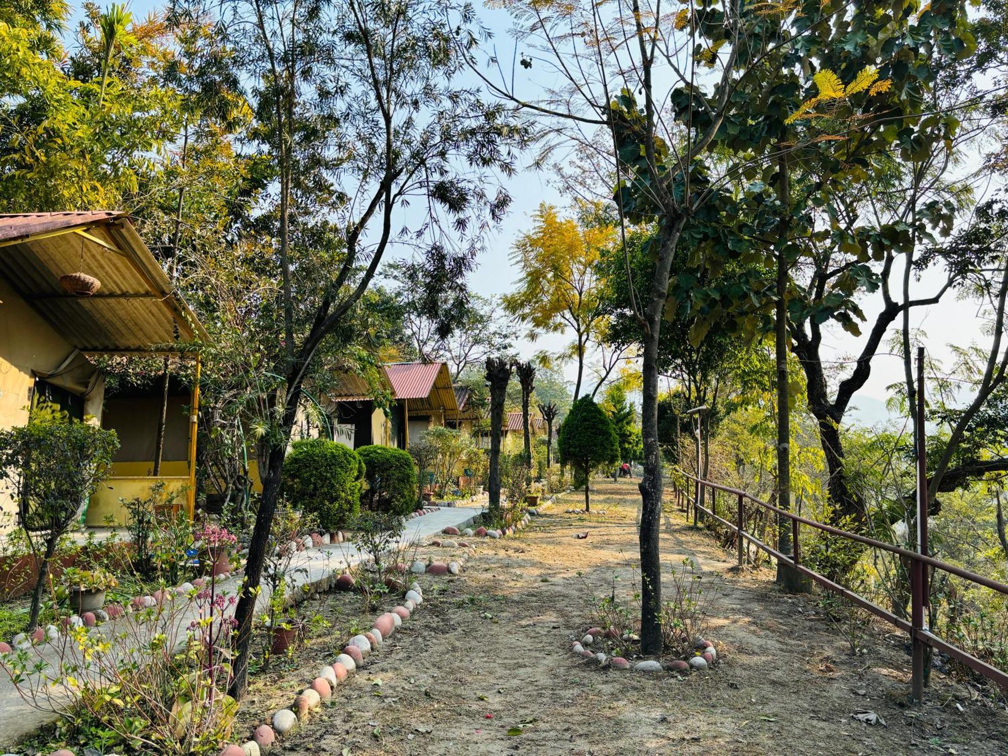 ホテル Camp High 5 Jayalgarh Dāngchura エクステリア 写真